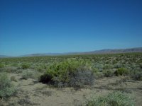 33802-Looking nw.jpg