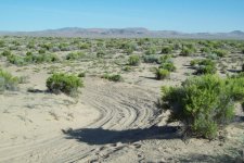 33803-Sand gets looser.jpg