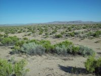 33805-sandy.jpg