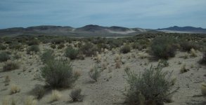 331-08-Alkali flats.jpg