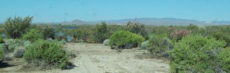 33806-Mustang Pond.jpg
