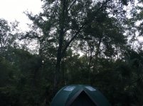 IMG_8219.jpg