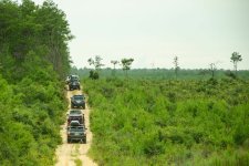 IMG_8267.JPG