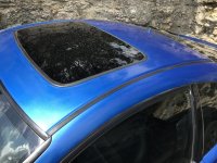 IMG_0684.jpg