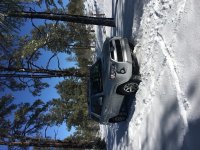 IMG_7991.jpg