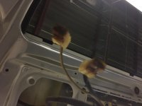 IMG_0716.jpg