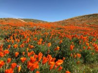 IMG_0033.jpg