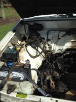 IMG_5706.jpg IMG_5706.jpg