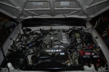 DSC_5646.jpg DSC_5646.jpg