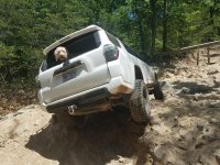 20170507_130234.jpg