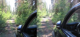 4runnerclearingtrail.jpg