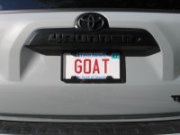 GOAT 002.JPG
