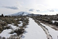 IMG_5617.jpg