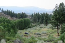 4runner_aspens.jpg