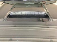 IMG_3291.jpg