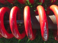 IMG_8453.jpg