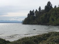IMG_0136.jpg