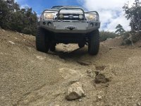 white mtn trail (800x600).jpg
