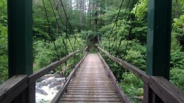 IMG_20170713_142153.jpg