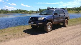 4runner hogs 3.jpg