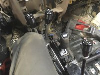 Body-mods-Shifters-2.jpg
