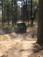 IMG_8251.JPG IMG_8251.JPG