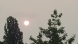 IMG_20170805_153127.jpg