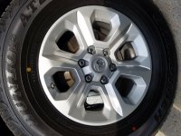 20170618_172949.jpg