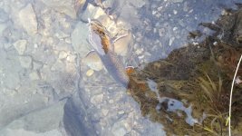 20170714_174604.jpg