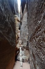 DSC_0581.jpg DSC_0581.jpg