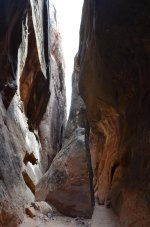DSC_0642.jpg DSC_0642.jpg