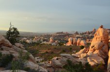 DSC_0665.jpg DSC_0665.jpg