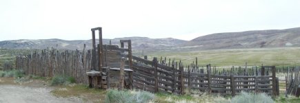 33203-Cattle chute.jpg