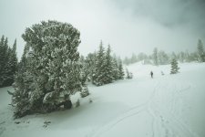 4-1-2017 Ski Ned-63.jpg