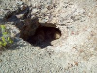 34104-jessup shaft.jpg