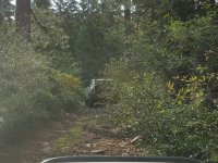 20170805_090304.jpg