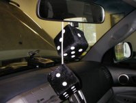 Fuzzy_dice.jpg