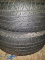 michelin 2.jpg