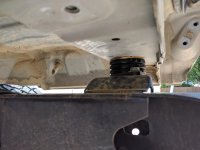 IMG_20170806_123340.jpg