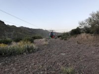 IMG_8487.jpg