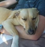 20170717_071226.jpg