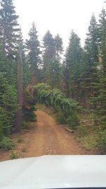20170805_094448-1.jpg 20170805_094448-1.jpg