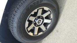 20170324_125946.jpg