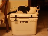 Rtic Embassador.jpg