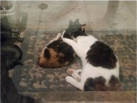 Snuggles 1.0.jpg