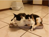 Snuggles 3.0.jpg