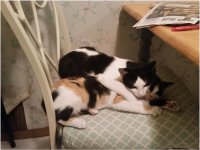 Snuggles 4.0.jpg