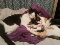 Snuggles 5.0.jpg