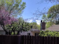 IMG_20170419_151529.jpg