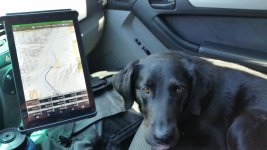 dogmap.jpg